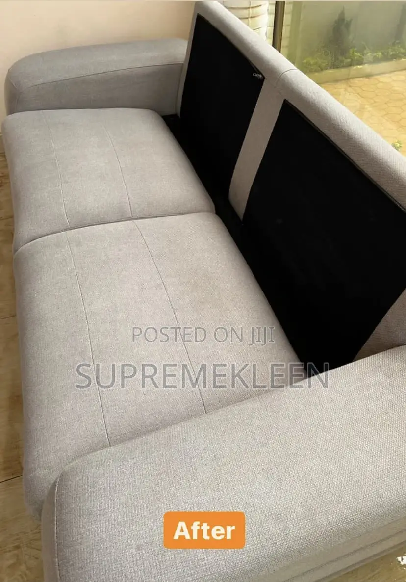A Bit Of Professional Upholstery Cleaning Service