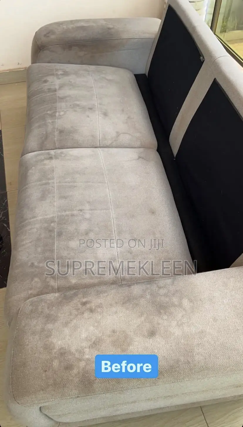 A Bit Of Professional Upholstery Cleaning Service