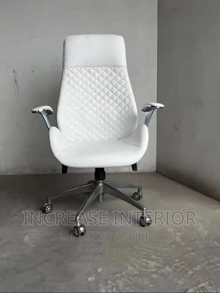 Executive Imported Director Office Chair.
