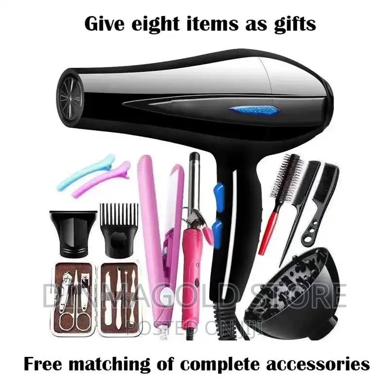 Professional Hair Dryer