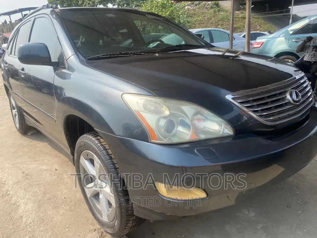 Lexus RX 330 2006 Blue