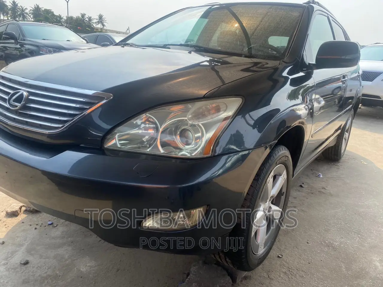 Lexus RX 330 2006 Blue