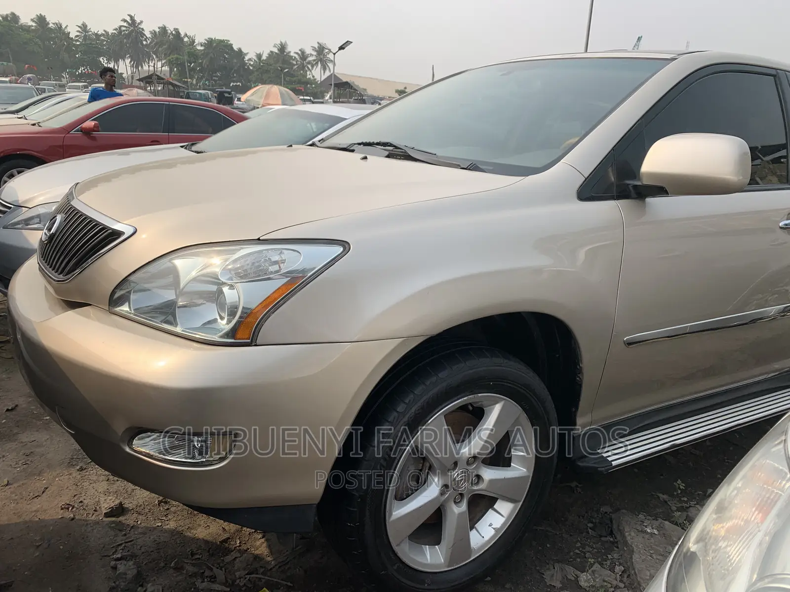 Lexus RX 330 2005 Gold