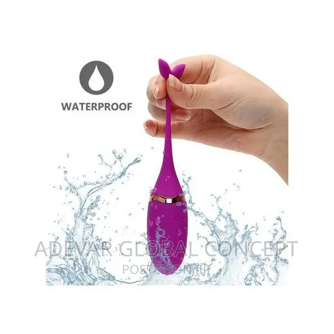 Rechargeable Egg Vibrator Adult Sex Toy With Remote Control