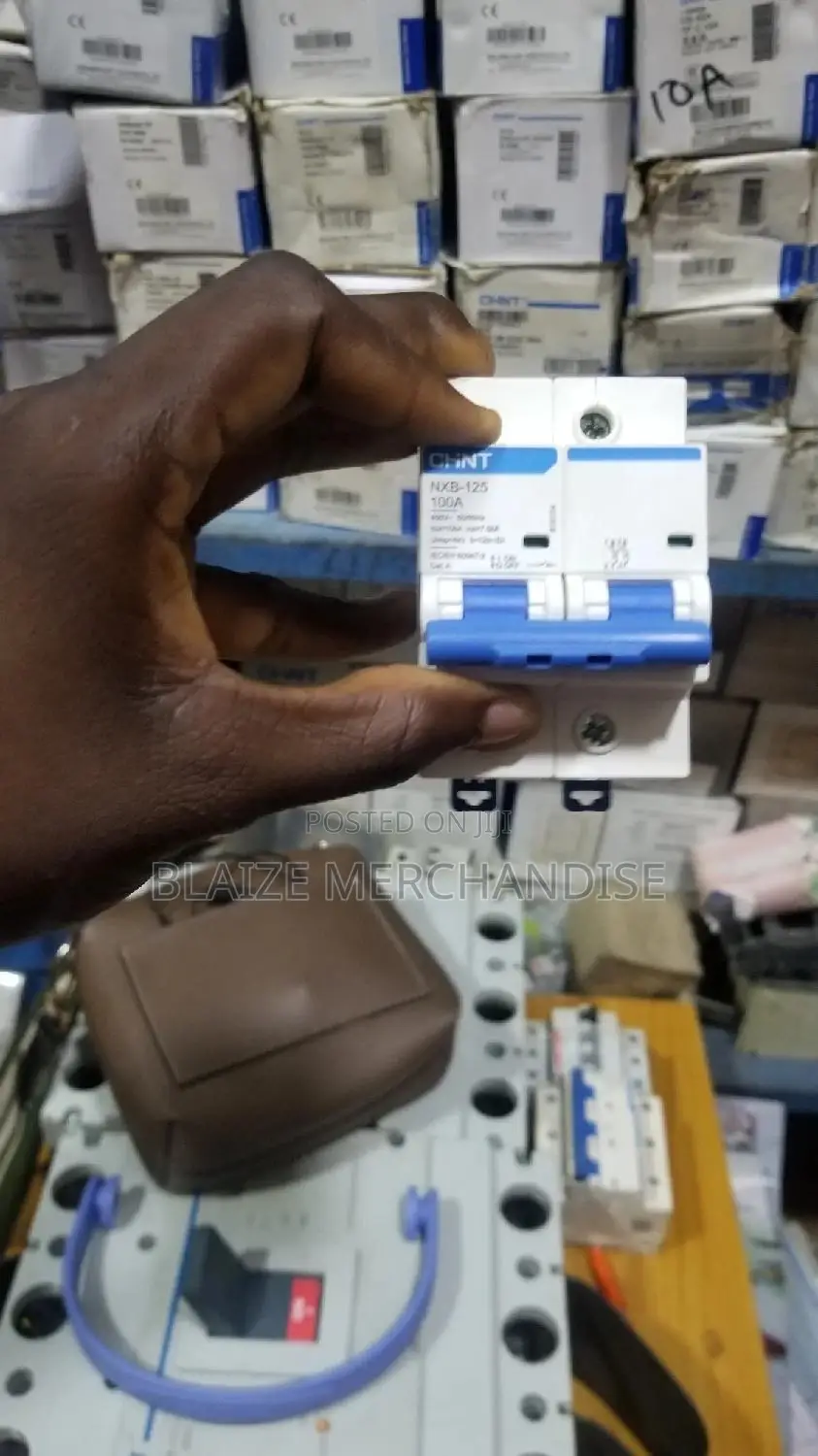 100a 2pole MCB Circuit Breaker Chint