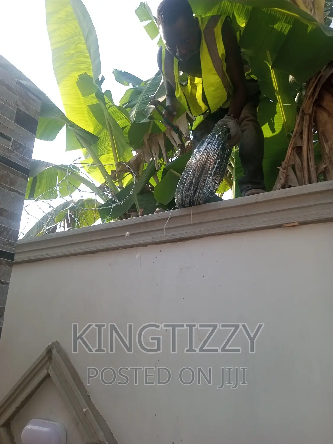 Galvanized Razor Wire