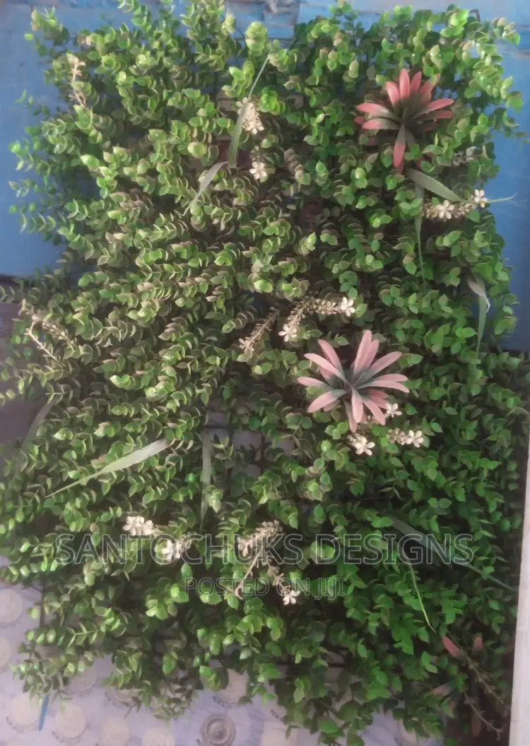 Wall Green Grass