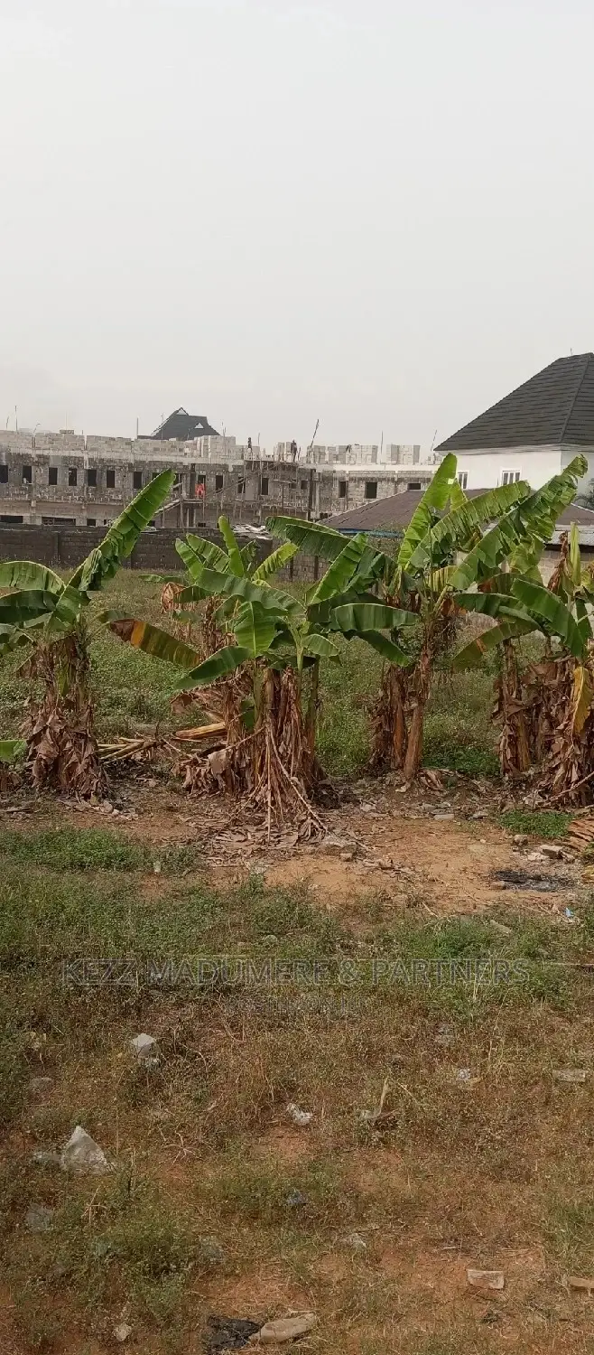 For Sale: 3 Fenced Plots on the Major Sars Road