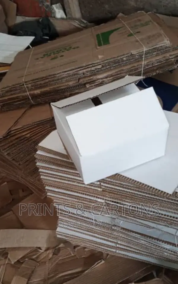 White Cartons for Your Products