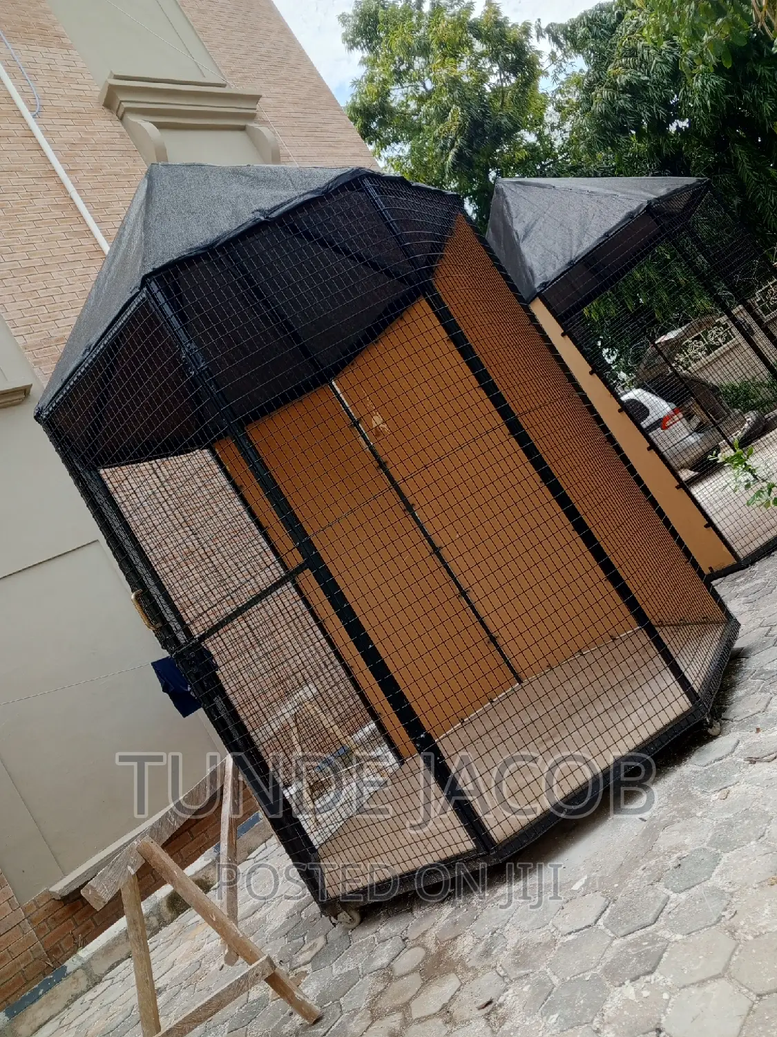 Birds House