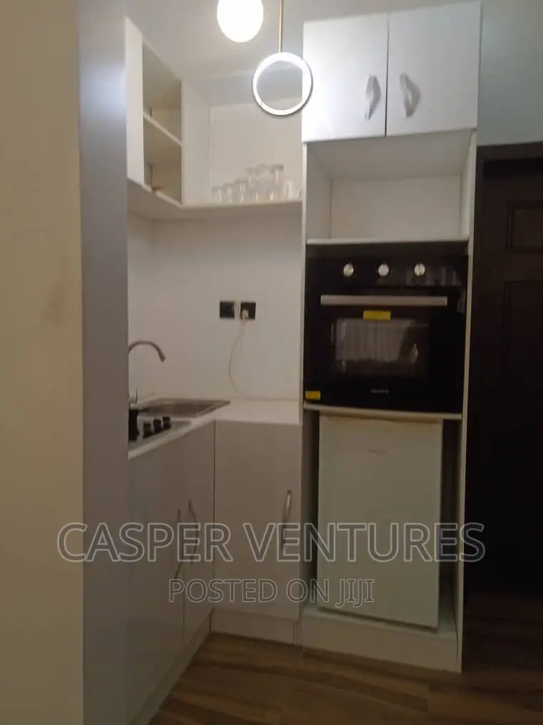 Spacious and Fancy Studio Apartment
