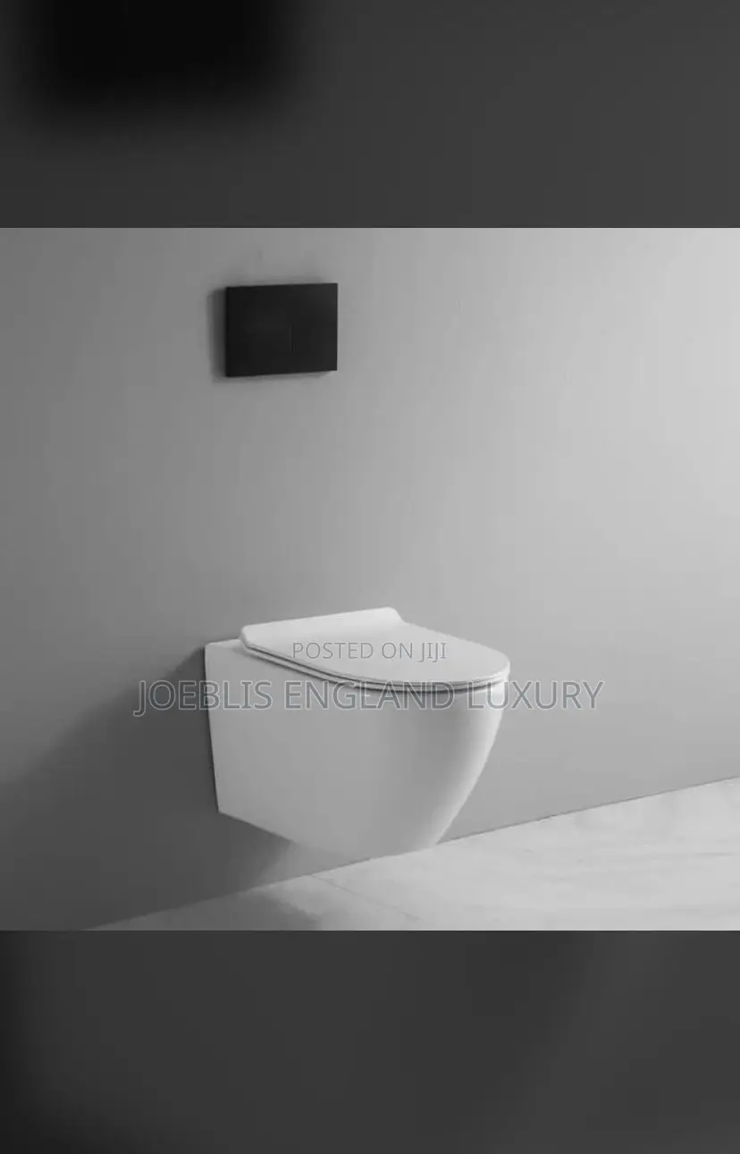 Wall Hung Water Closet