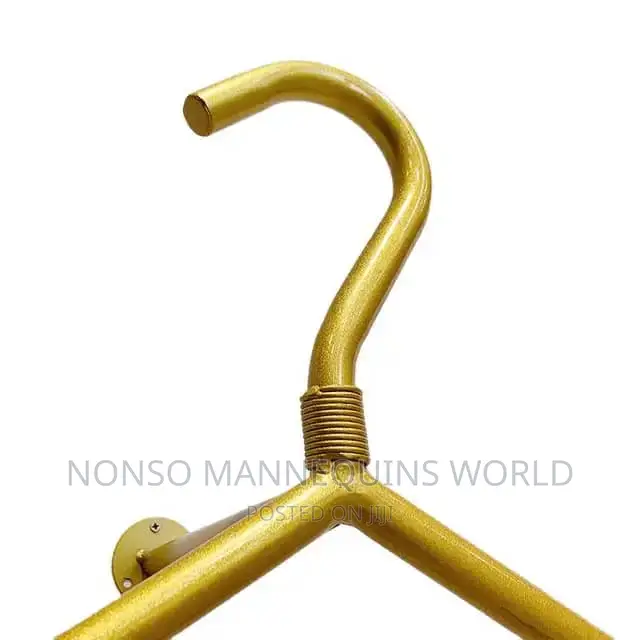 Gold Metal Garment Wall Racks