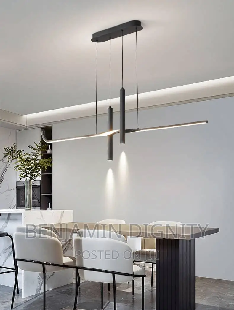 Modern Interior Led Dropped Pendant Light
