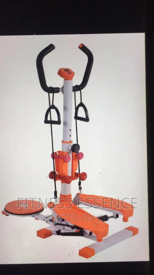 Standing Stepper With Twister