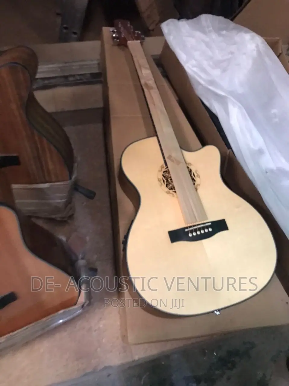 Brand New Singer Semi Acoustic Professional Guitar