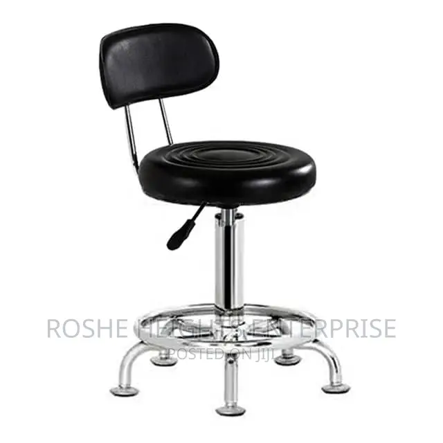 Laboratory Stool With Back Rest