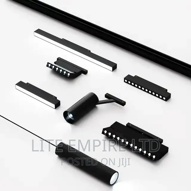 Magnetic Track Light