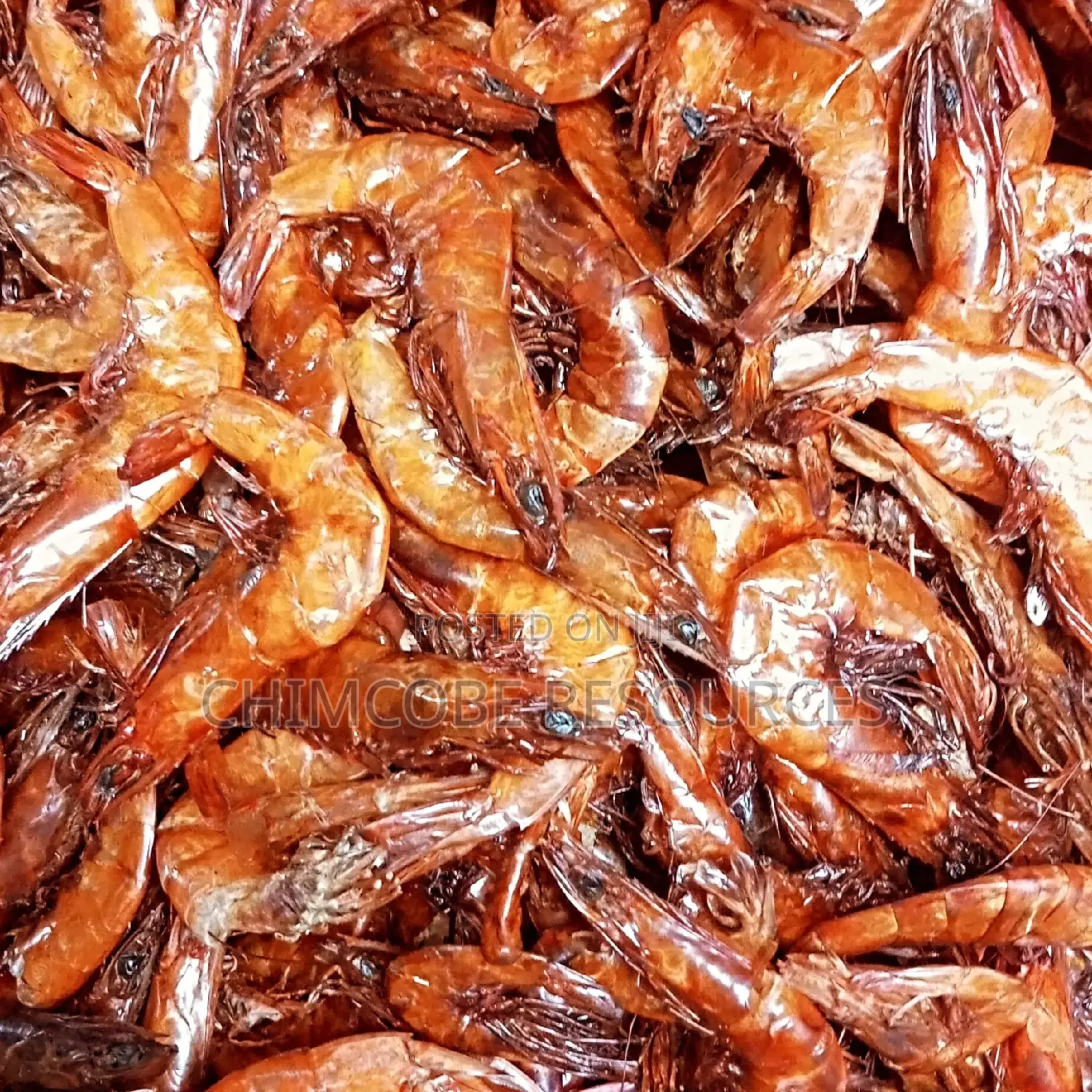 Sweet Honey Shrimp