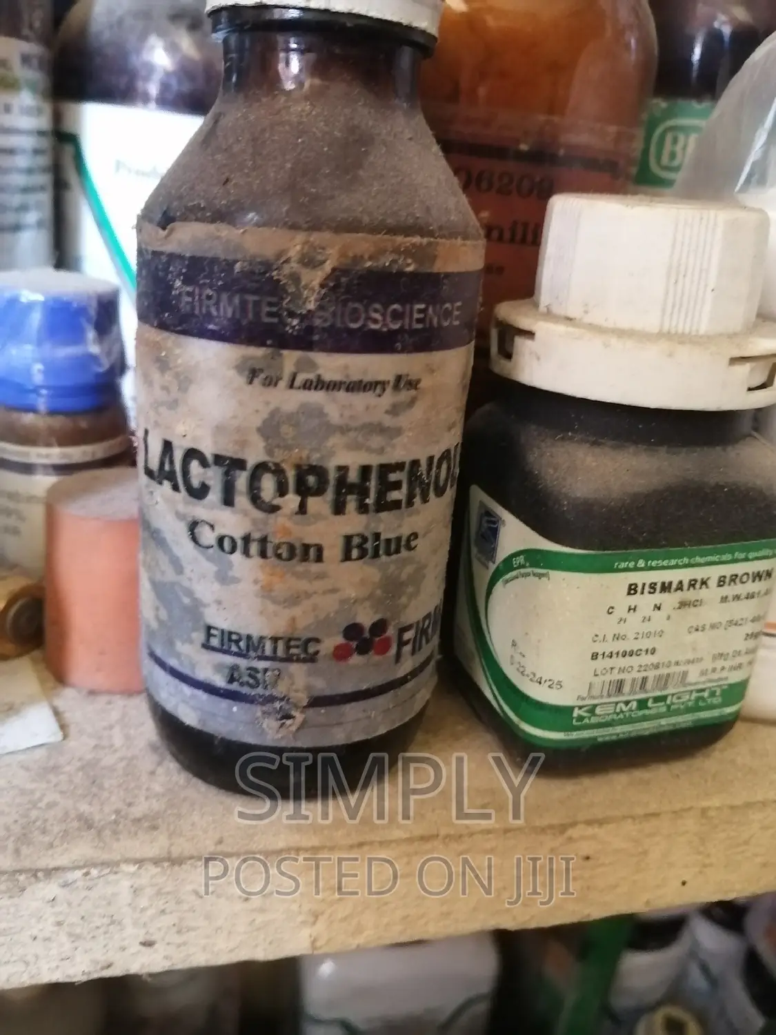 LACTOPHENON Cotton Blue