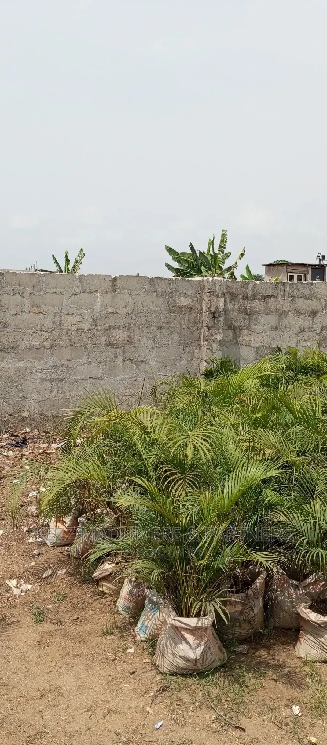For Sale : 3 Fenced With Gate Plots of Land