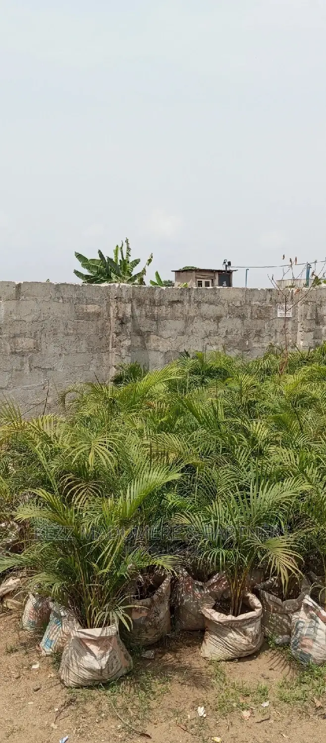 For Sale : 3 Fenced With Gate Plots of Land