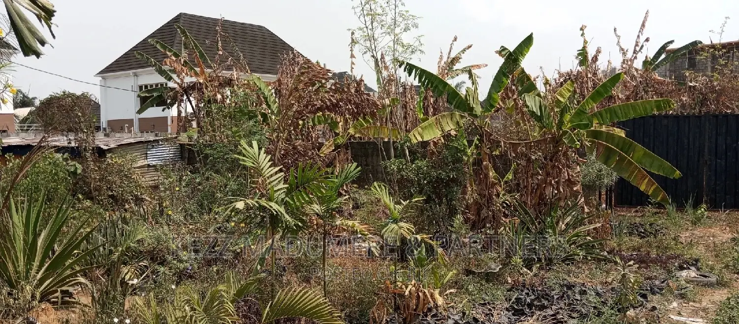 For Sale : Land on the Major Nta Road