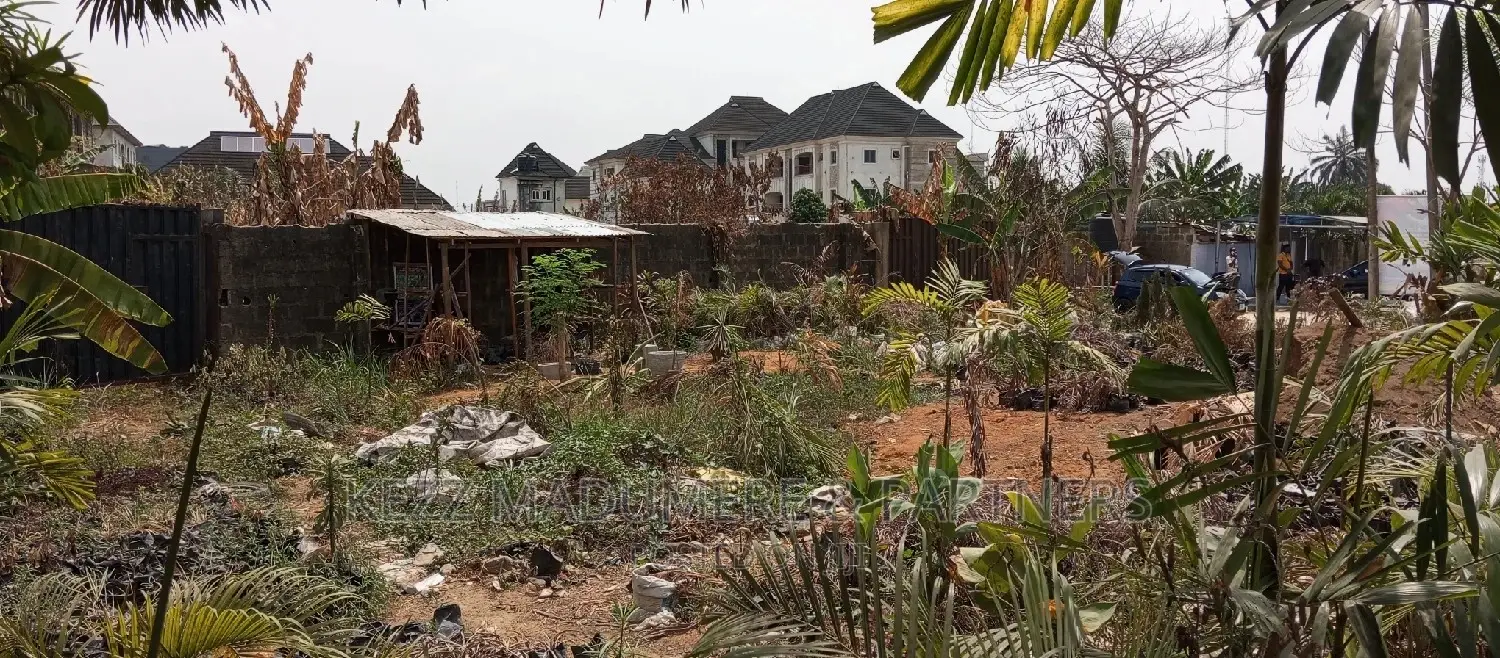 For Sale : Land on the Major Nta Road