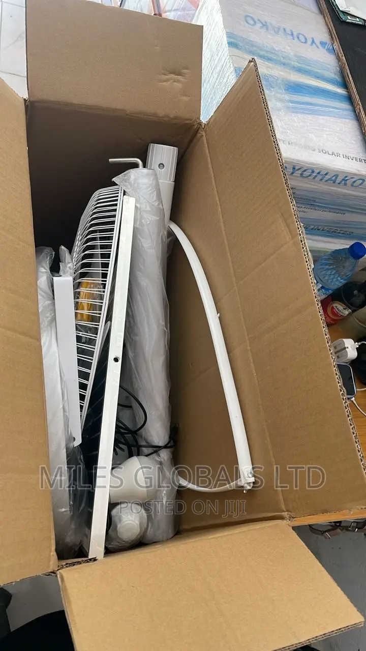 Professional Solar Fan