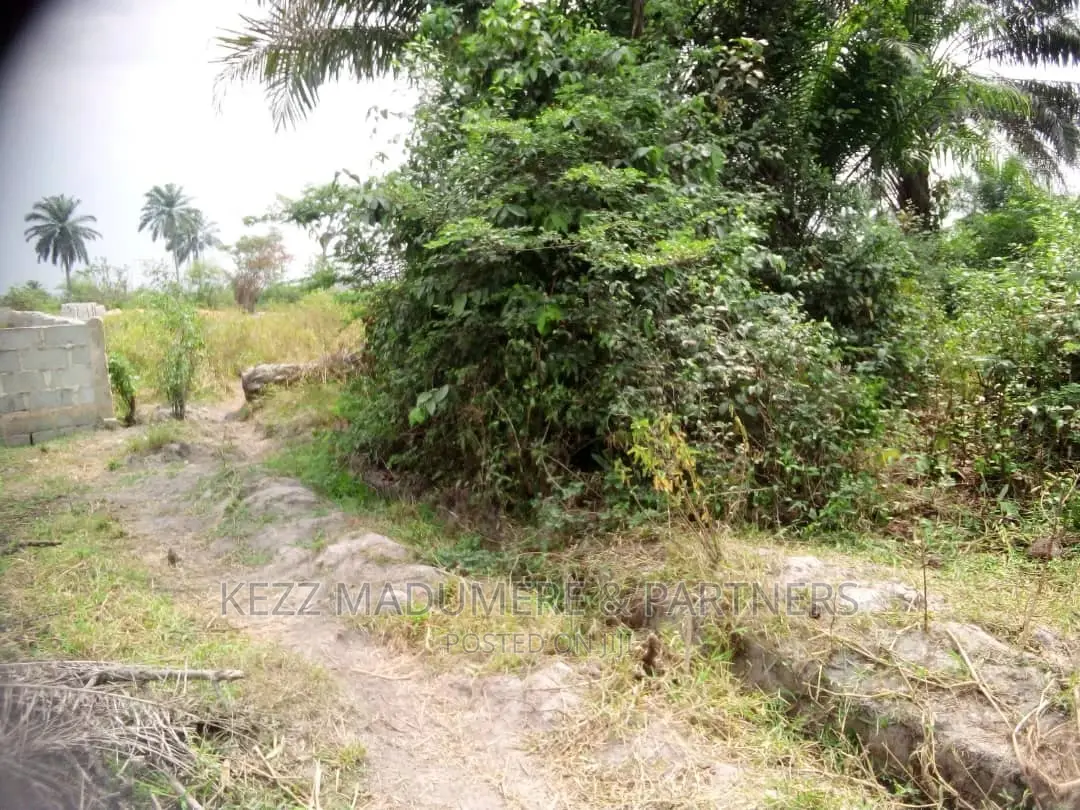 For Sale : Back of Dunamis Church,Obirikwere/Sars Rd