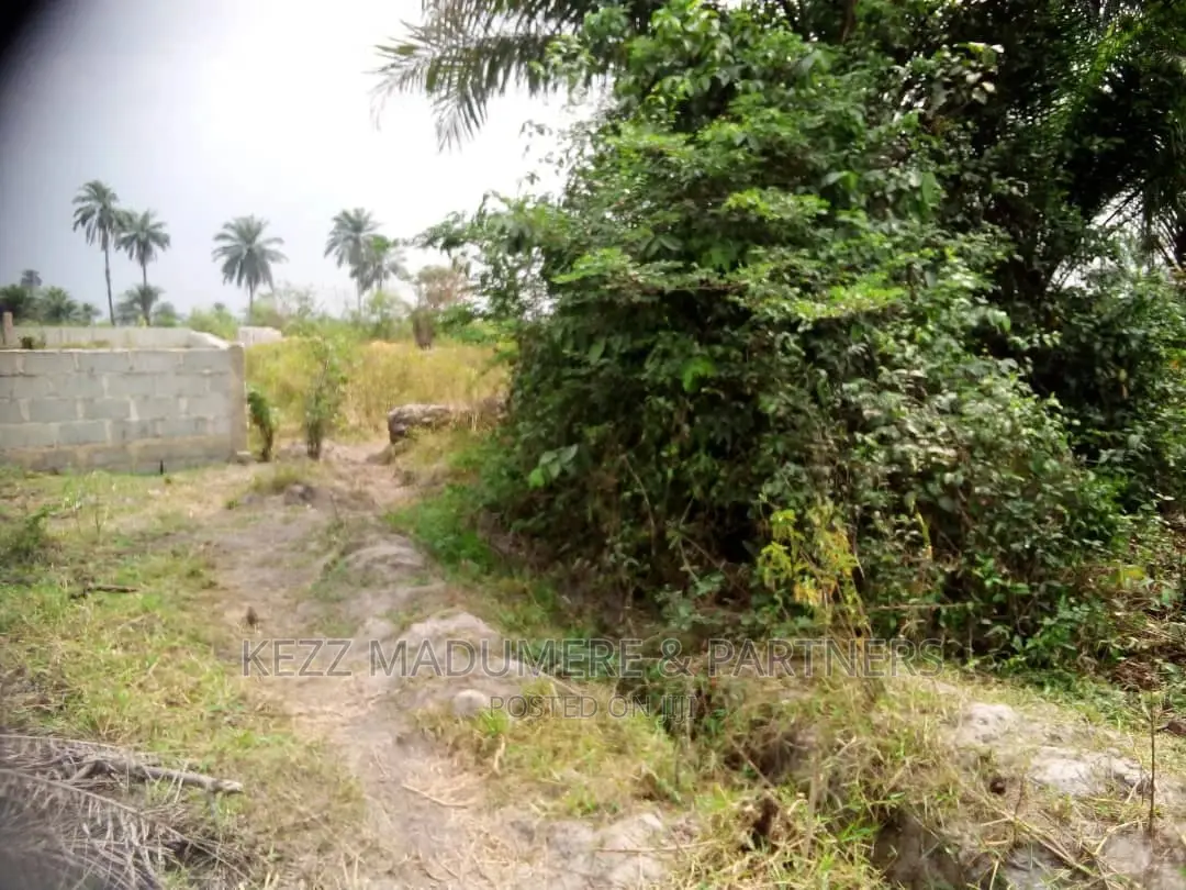 For Sale : Back of Dunamis Church,Obirikwere/Sars Rd