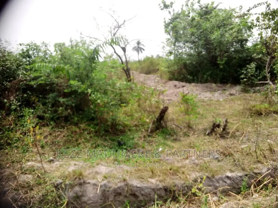 For Sale : Back of Dunamis Church,Obirikwere/Sars Rd