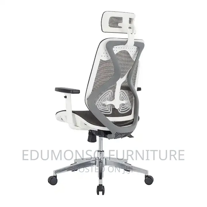Super Ergonomic Executive Office Chair