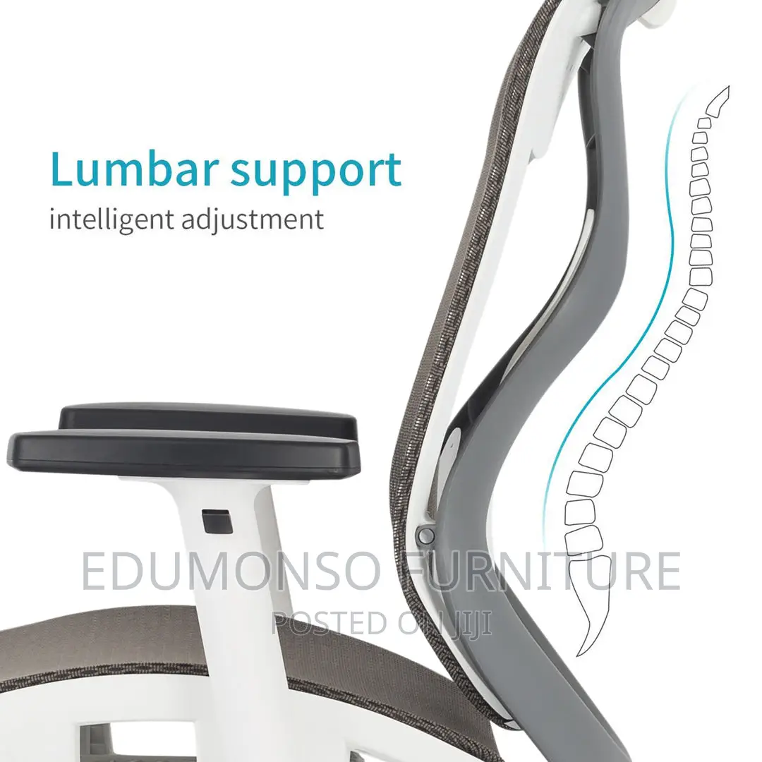 Super Ergonomic Executive Office Chair