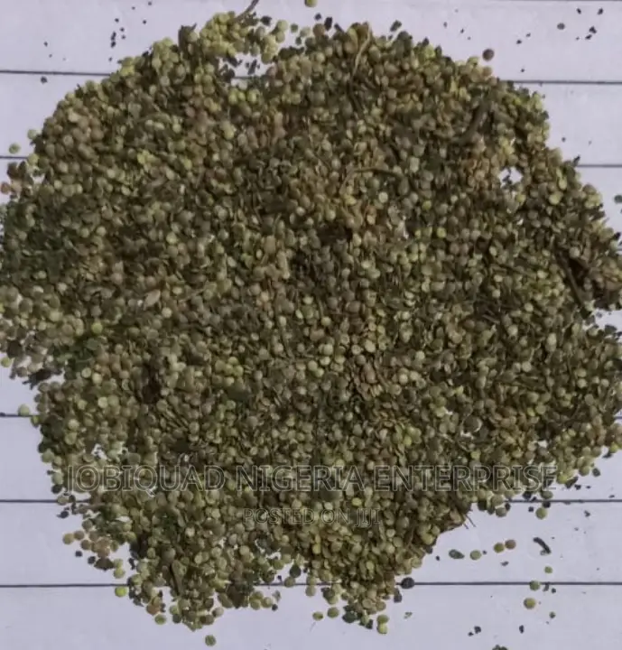 Stinging Nettle Organic Seeds (Urtica Dioica) 50g