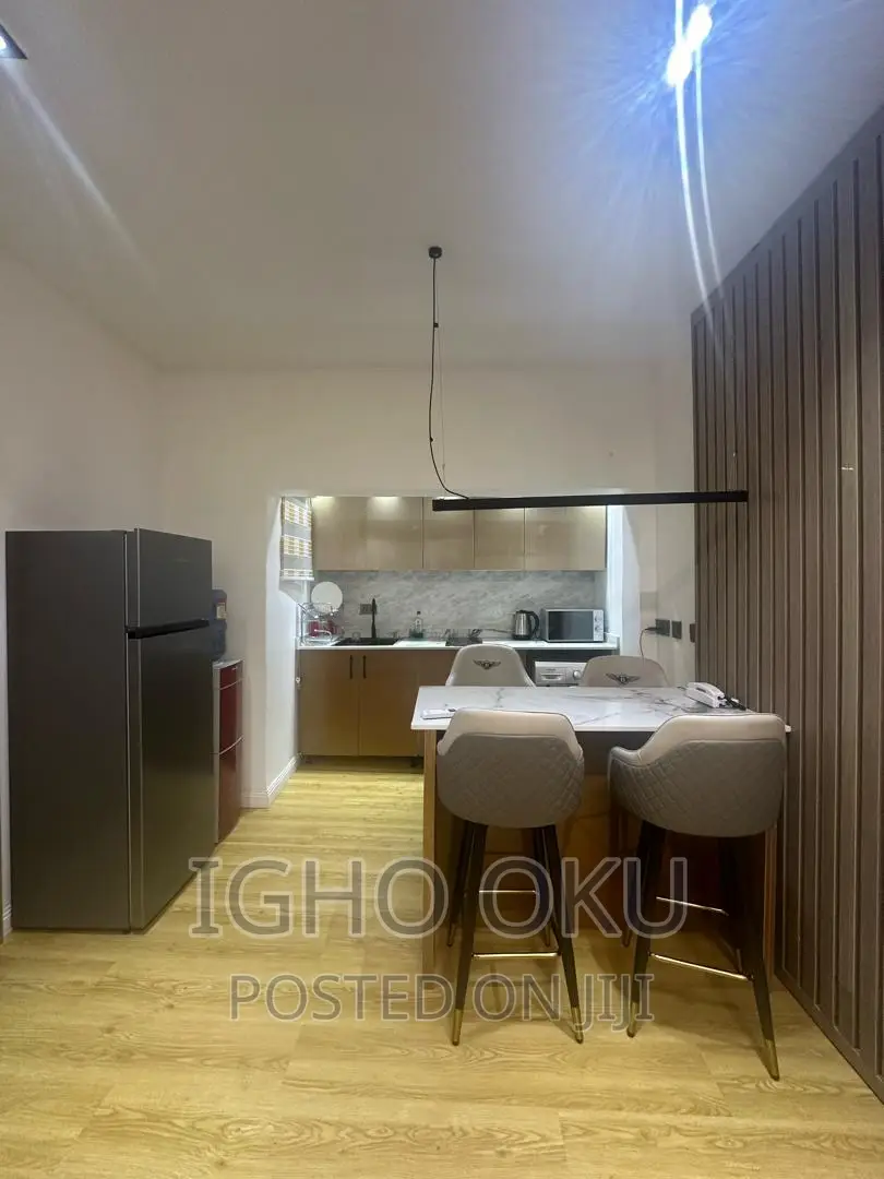 1 Bedroom Apartment Available in Maitama