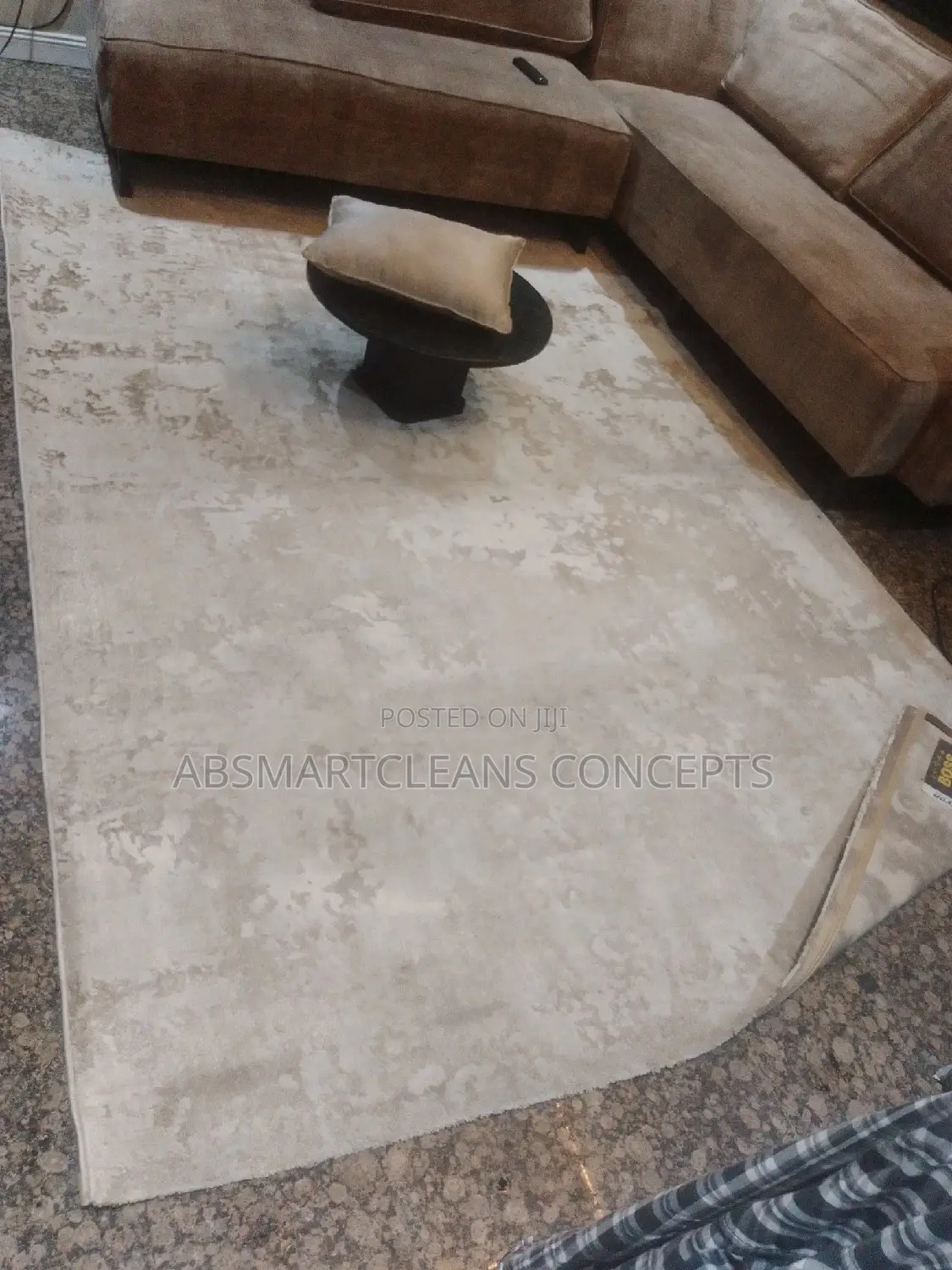 Couch and Bed Frame Cleaning Services