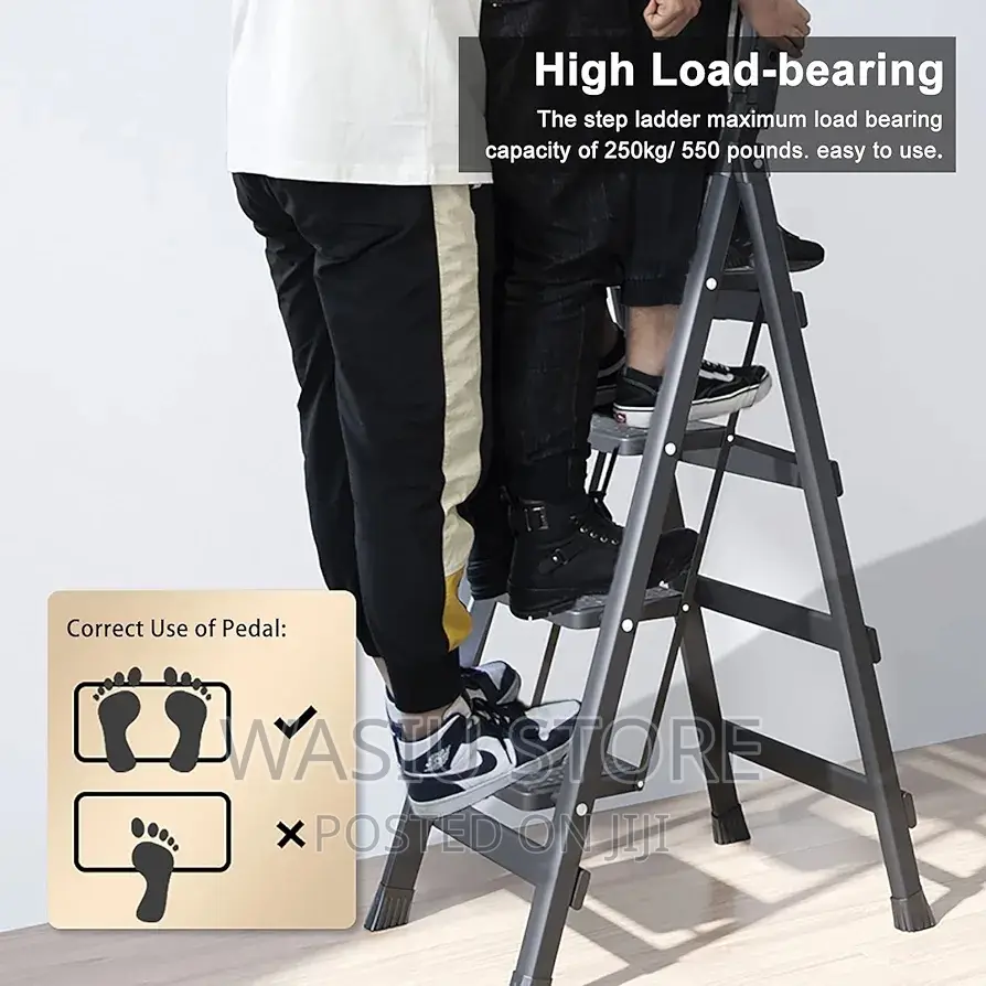 4 Step Indoor/Outdoor Ladder