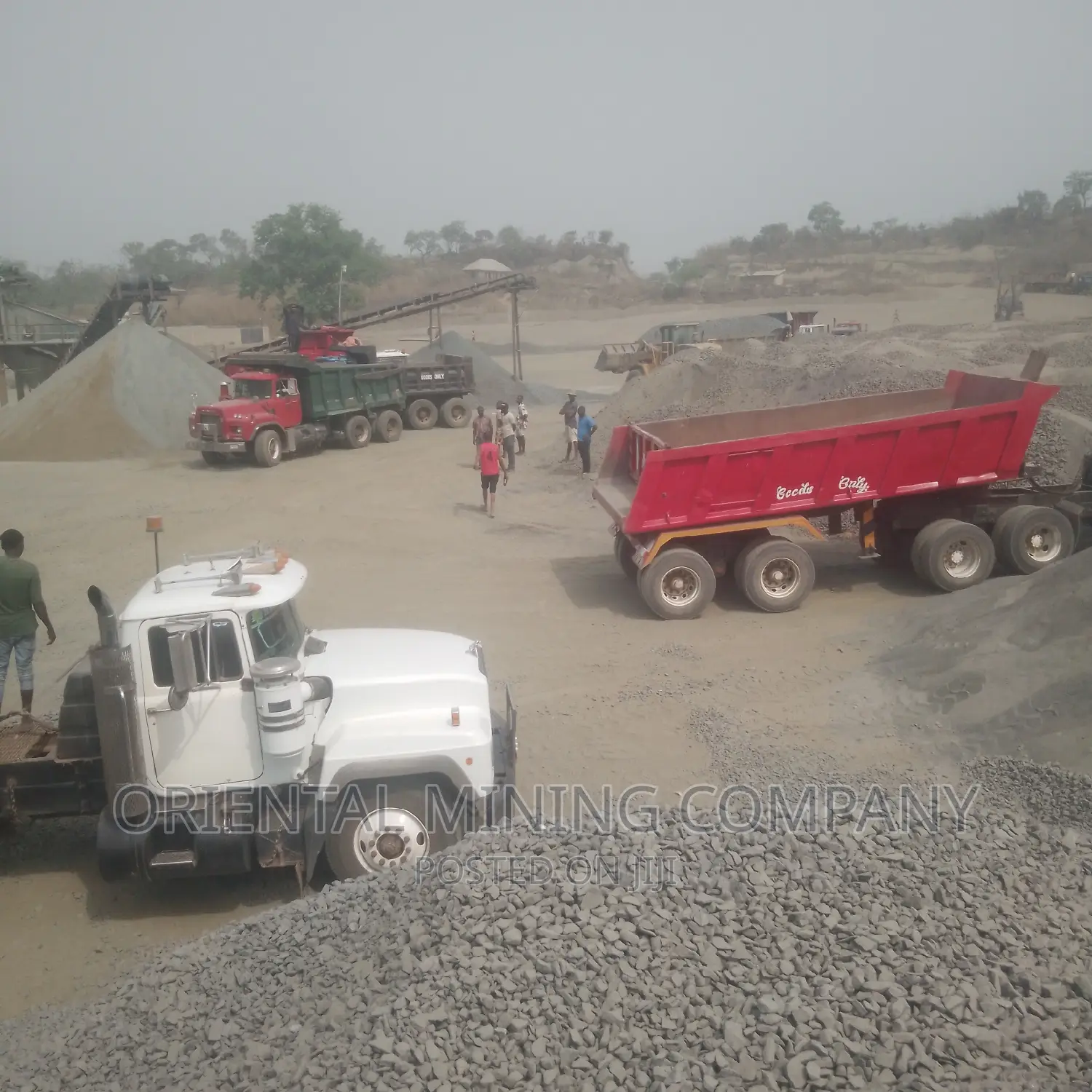 Chippings and Granite Directly From Oriental Mining Company