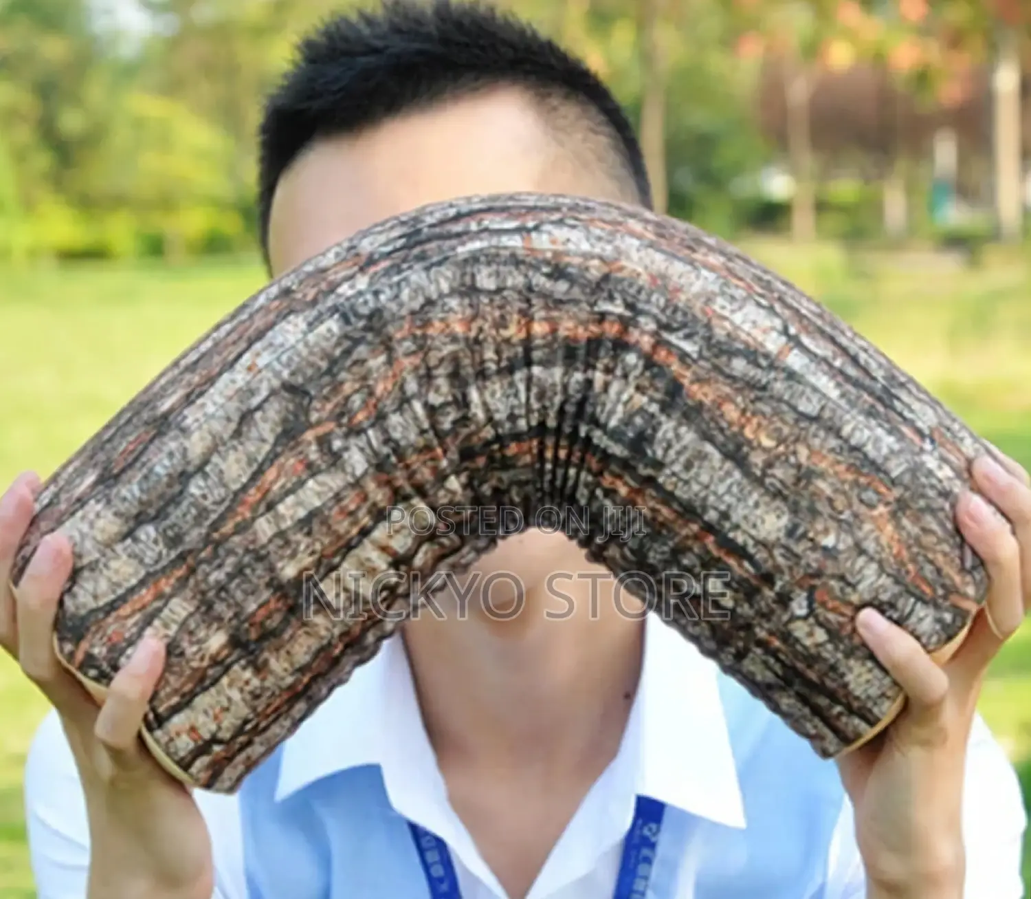 90cm Log Wood Throw Pillow