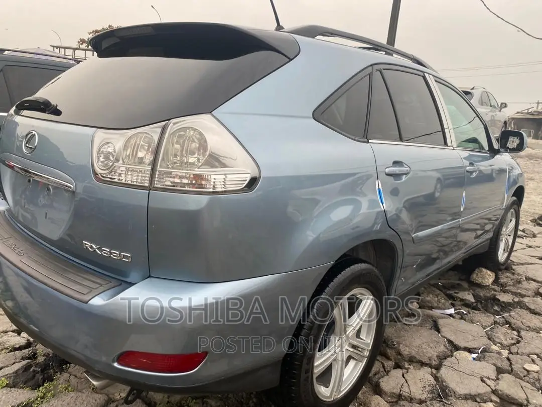 Lexus RX 330 2006 Blue