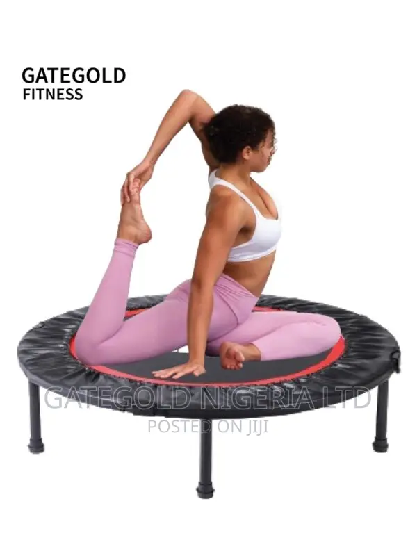 TP100 Mini Trampoline (Diameter 100cm)