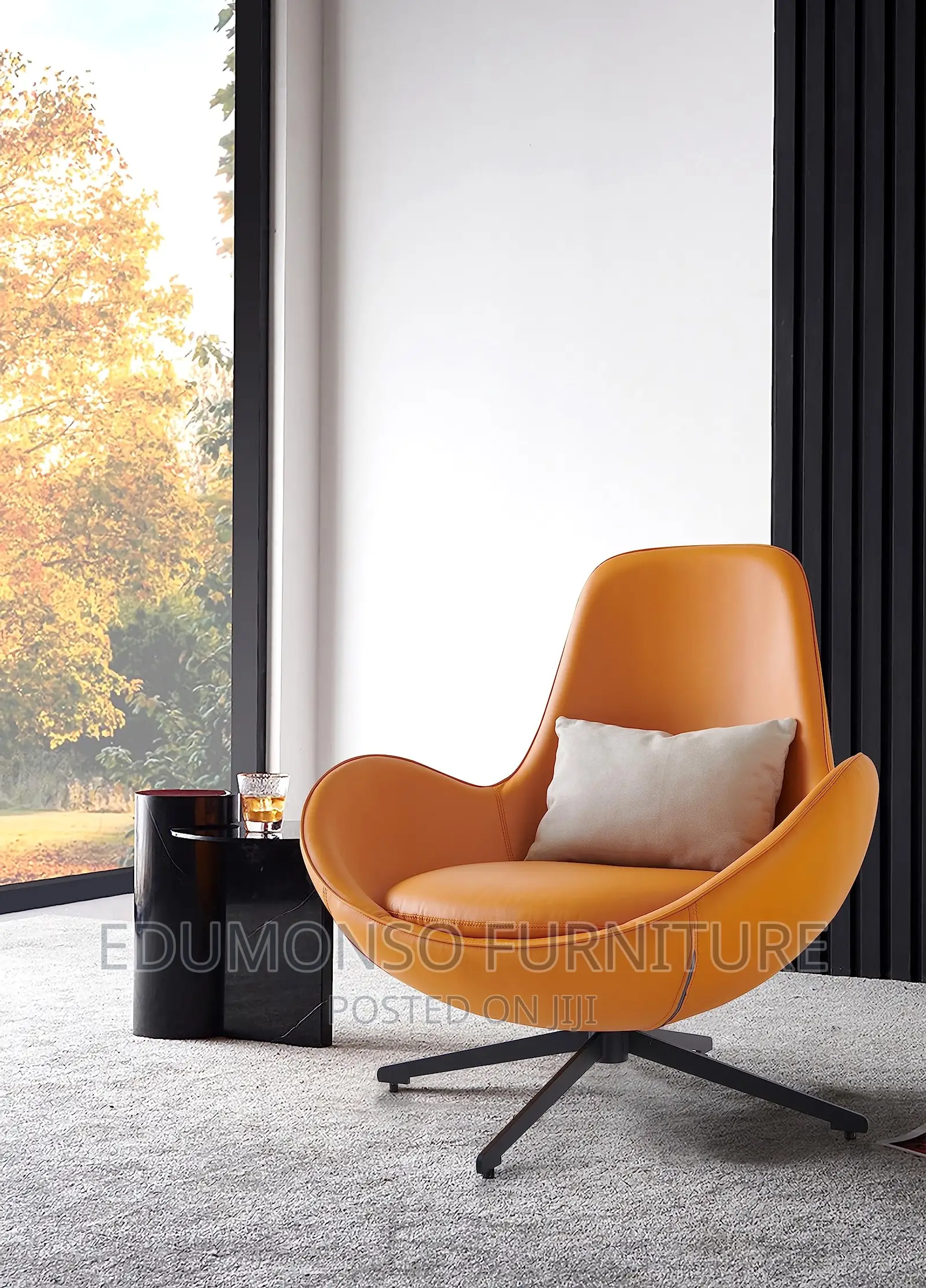 Accent Chair Armchair for Living Room