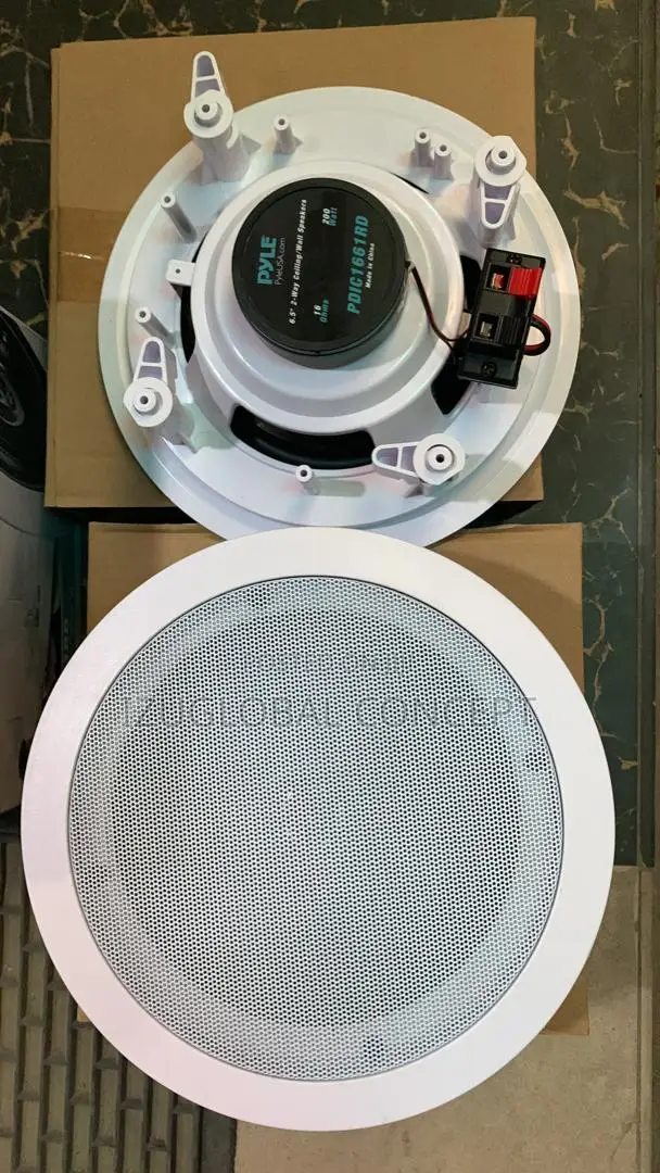 Original Pyle Double Ceiling Speaker