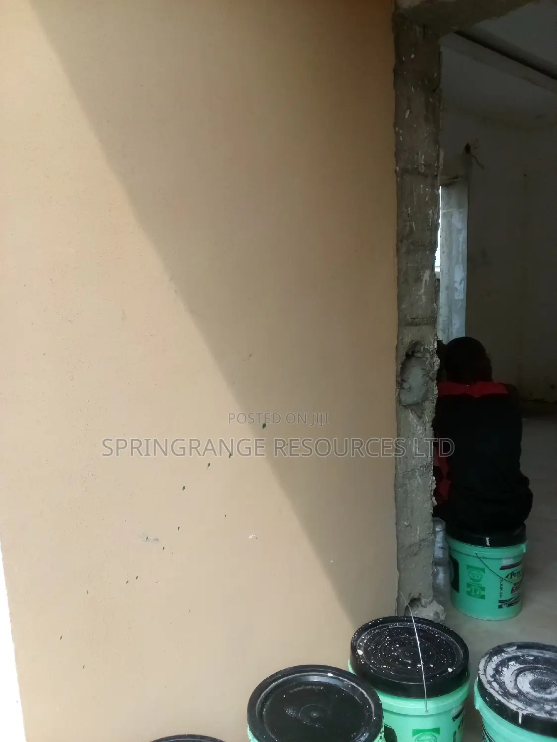 Professional House Painter