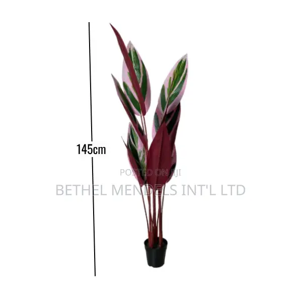 Artificial Plant/Flower | Skybird Plant for Bulk Sales