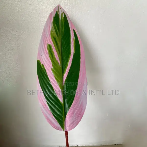 Artificial Plant/Flower | Skybird Plant for Bulk Sales