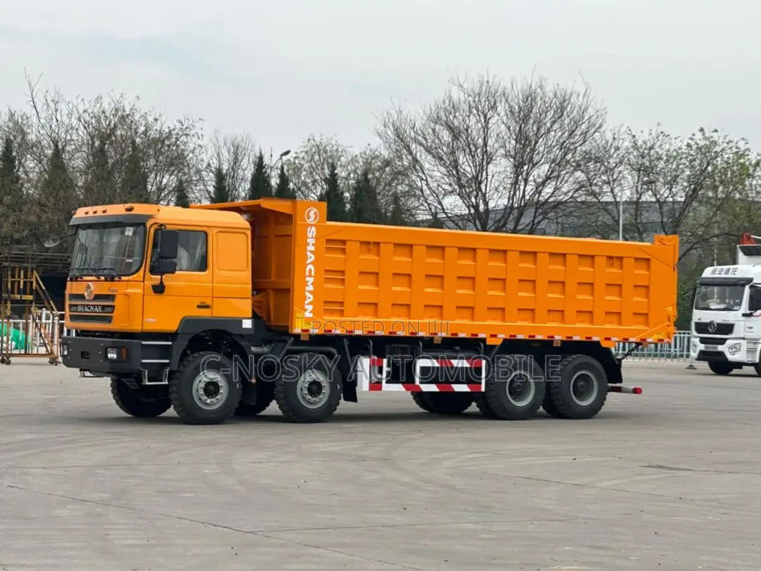 Shacman 12 Tyres 2025 Orange
