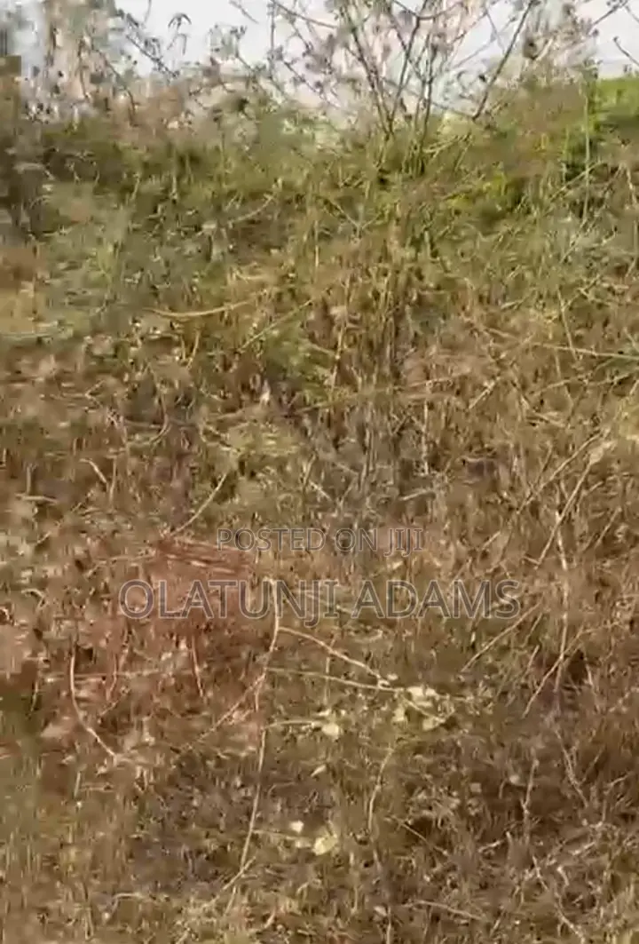 A Plot of Land at Papanla After Alatorin Area