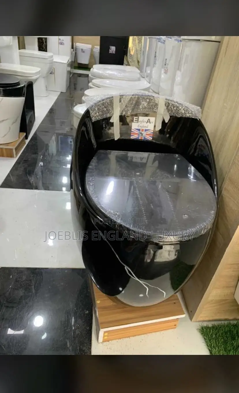 Shinny Black WC With Inbuilt Tank